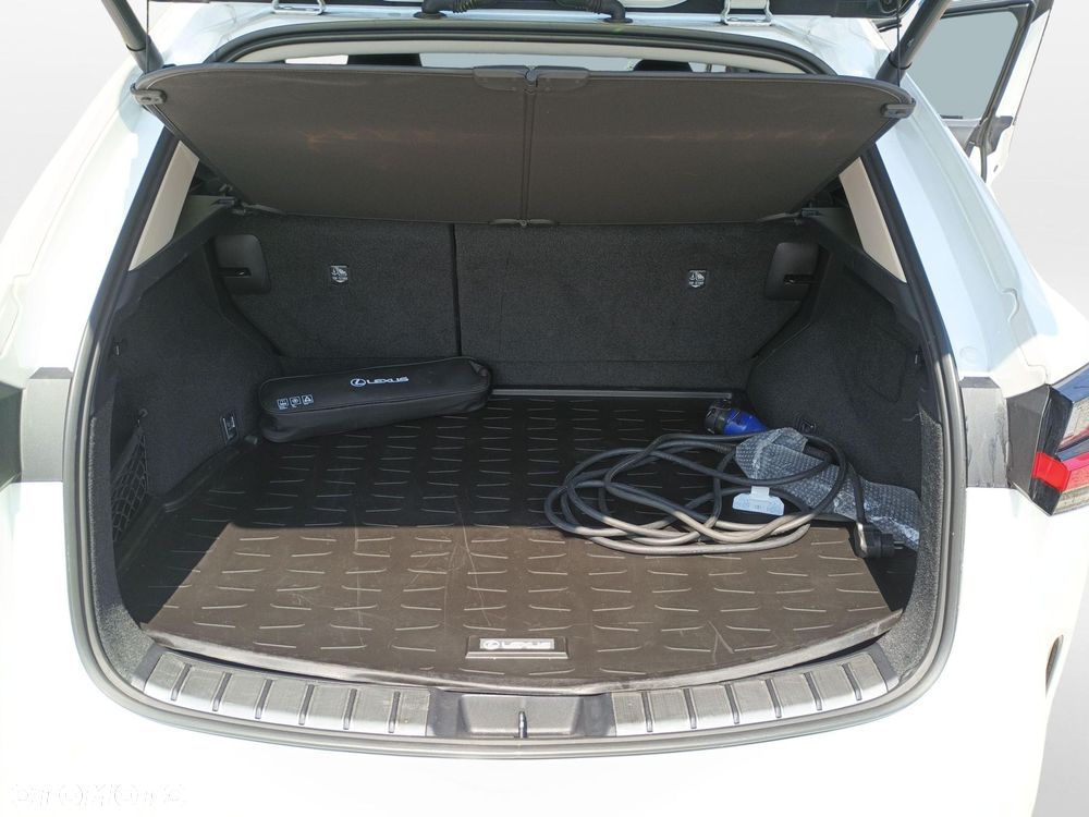 Lexus NX - 14