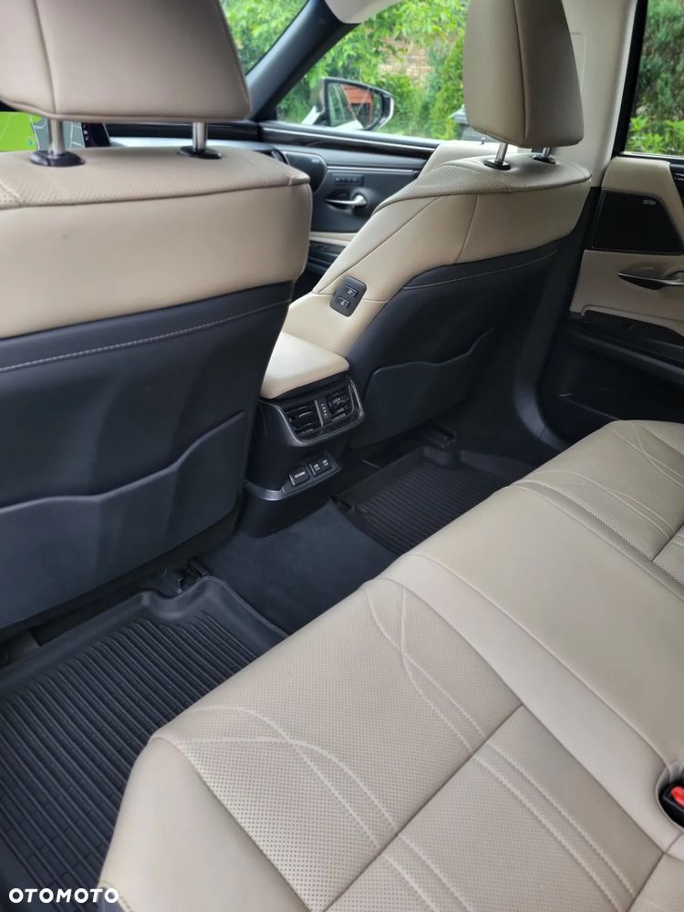 Lexus ES 300h Omotenashi - 17