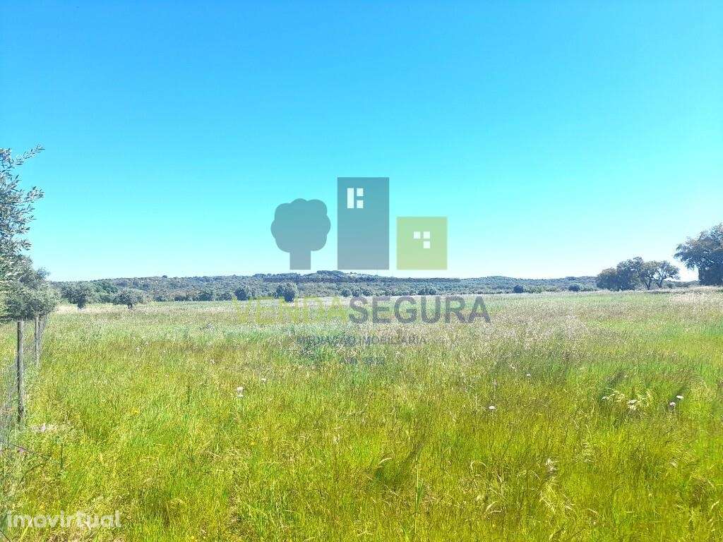 Terreno rústico | V.N.Baronia - Grande imagem: 2/7