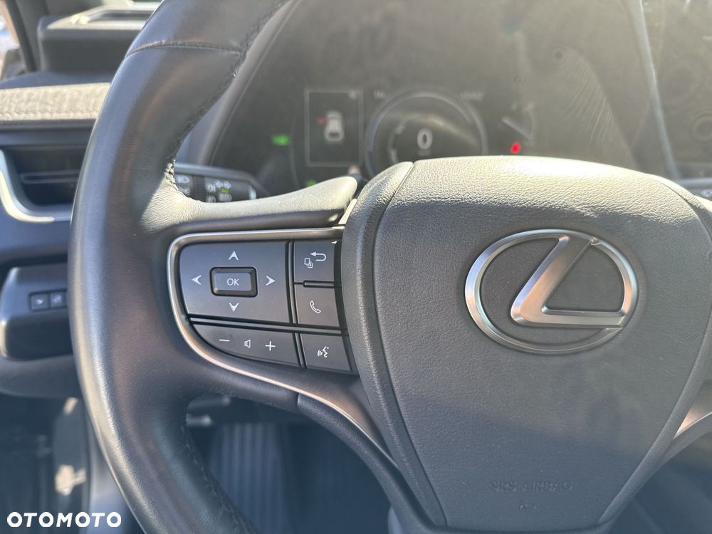 Lexus UX 250h GPF F Sport Design+ 2WD - 21