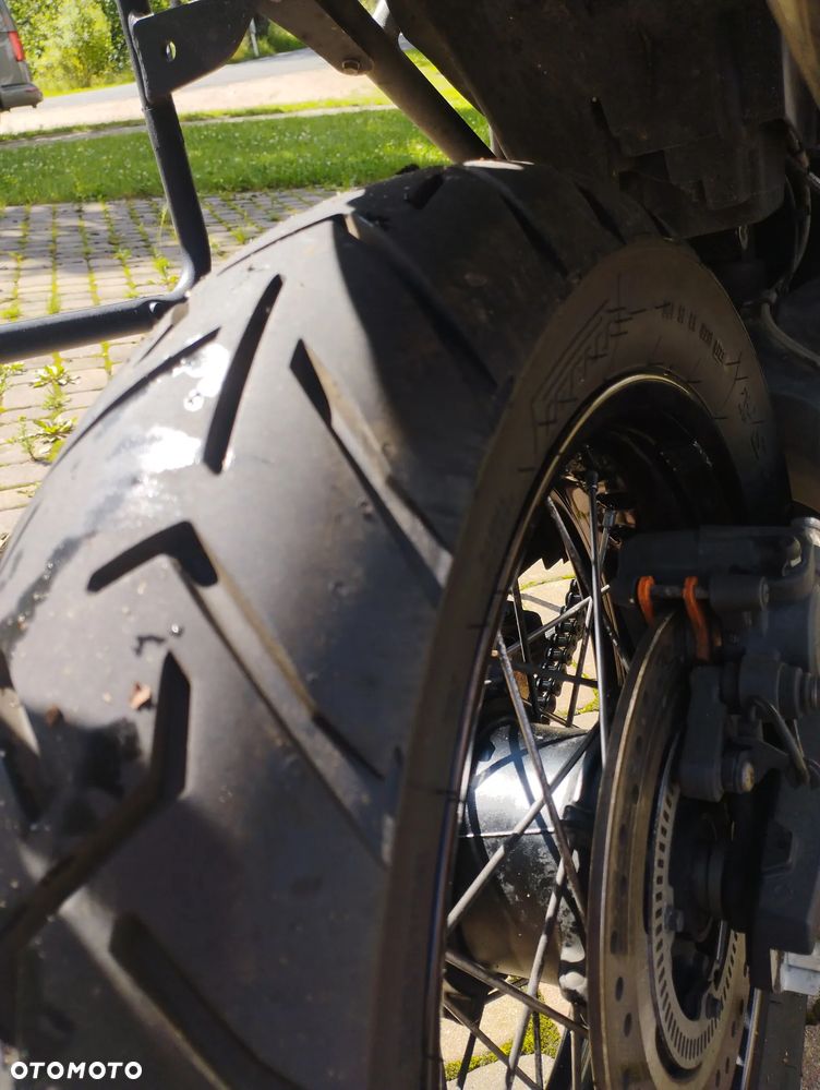 Triumph Tiger - 9
