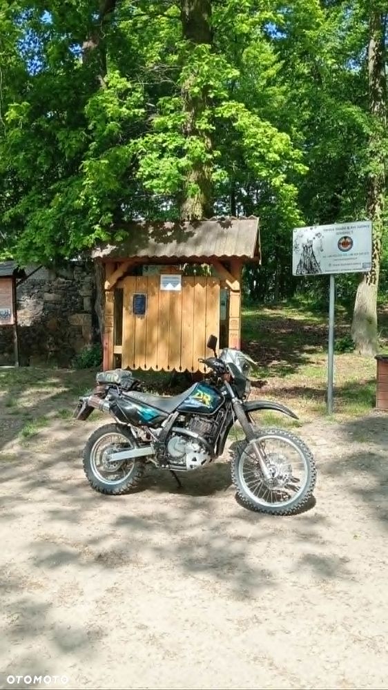 Suzuki DR - 13