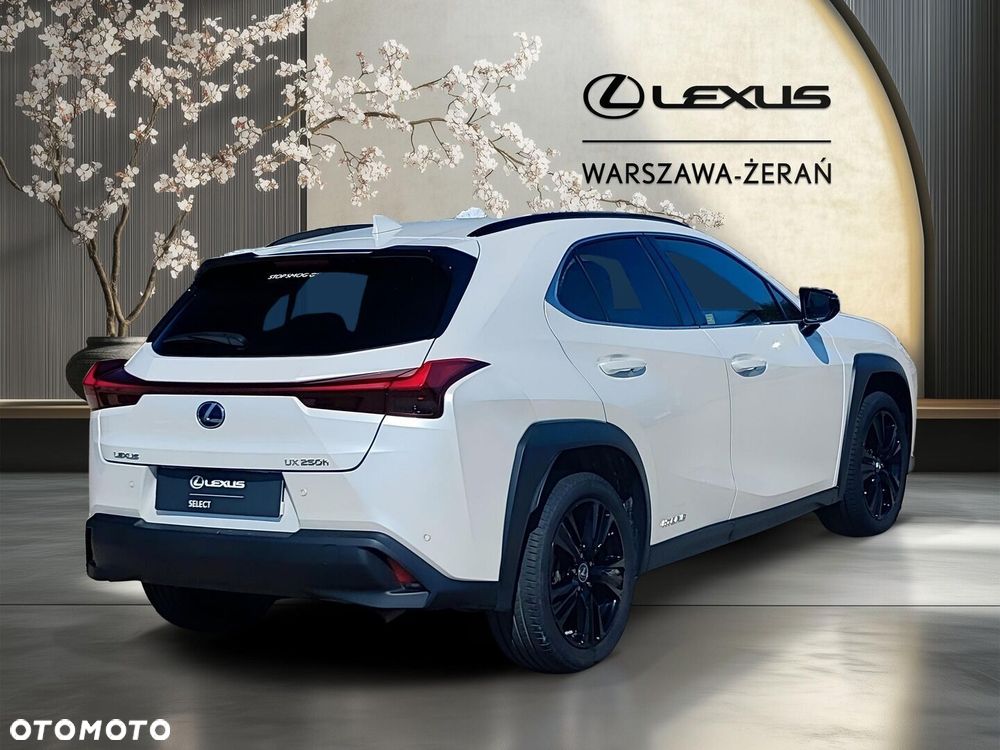Lexus UX 250h GPF F Impression 2WD - 7