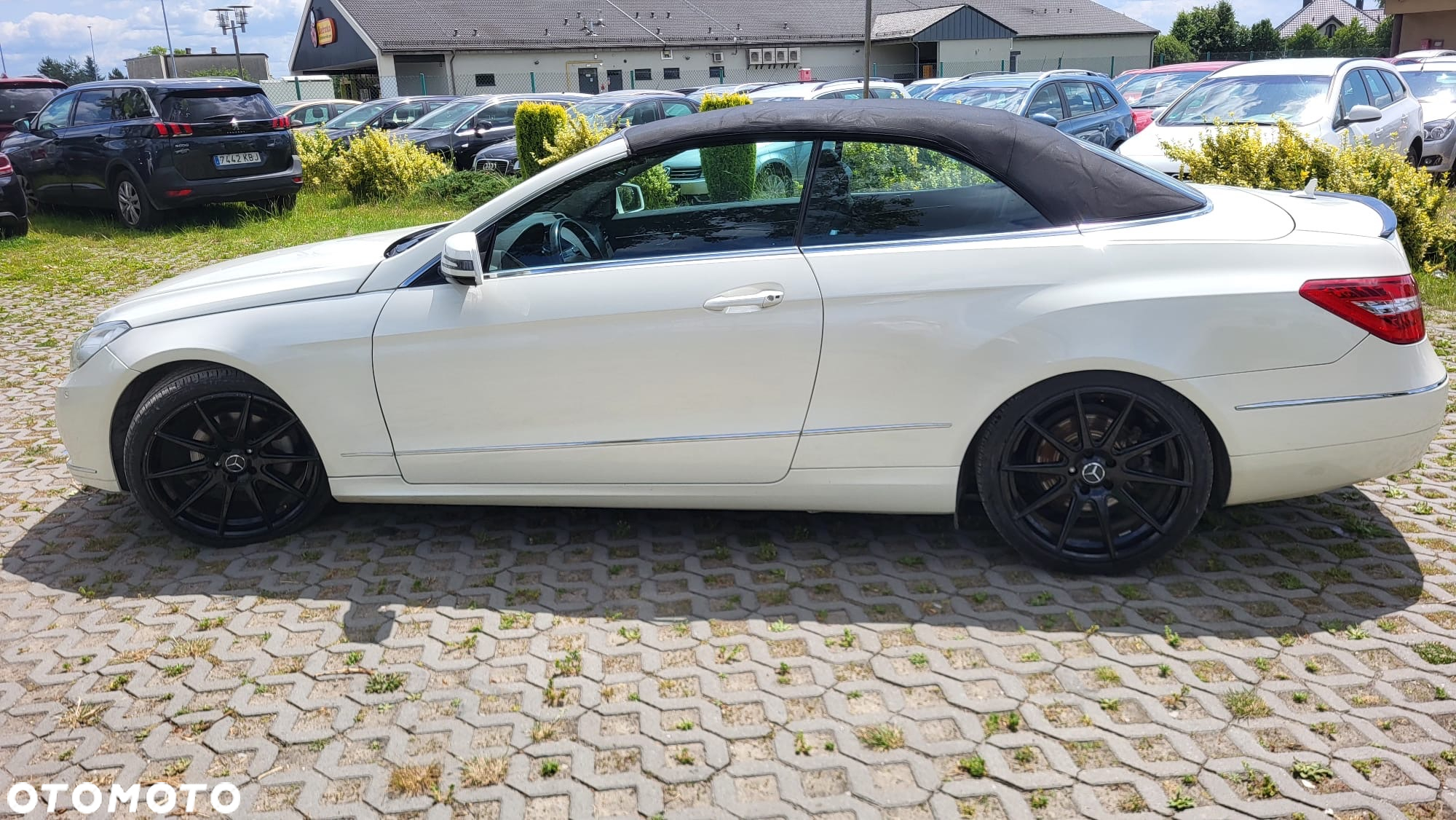 Mercedes-Benz Klasa E 250 CGI Cabrio BlueEFFICIENCY Automatik Avantgarde - 24