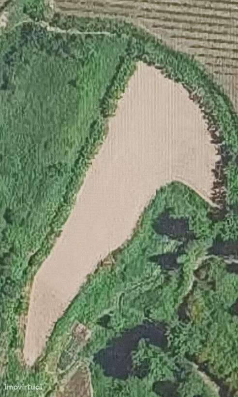 Vende-se Quinta ( EM AMARANTE ) FIGUEIRO - Grande imagem: 5/6