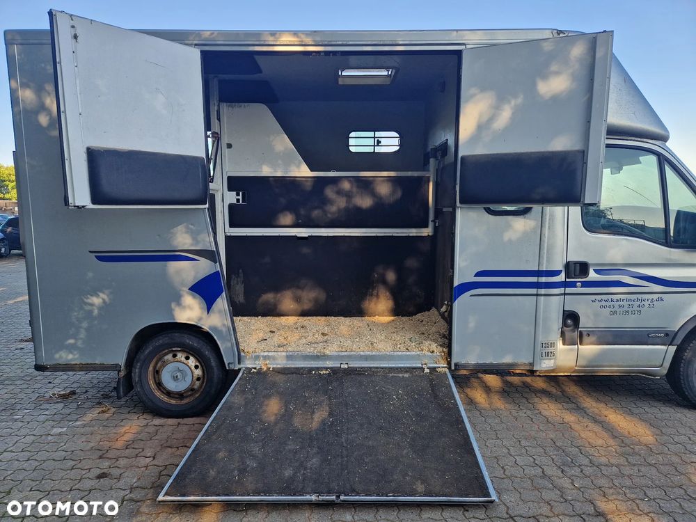 Renault Master Theault koniowóz - 18