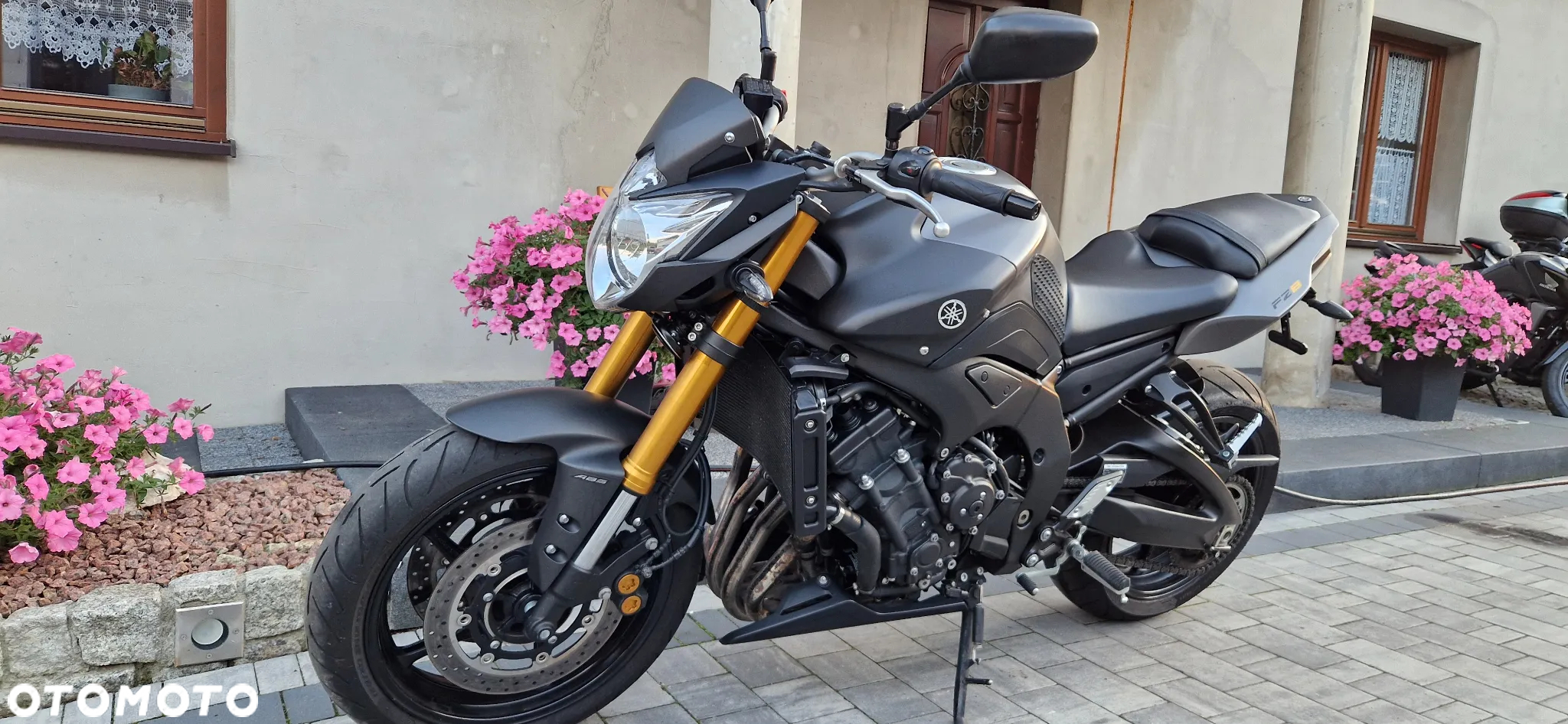 Yamaha FZ - 2