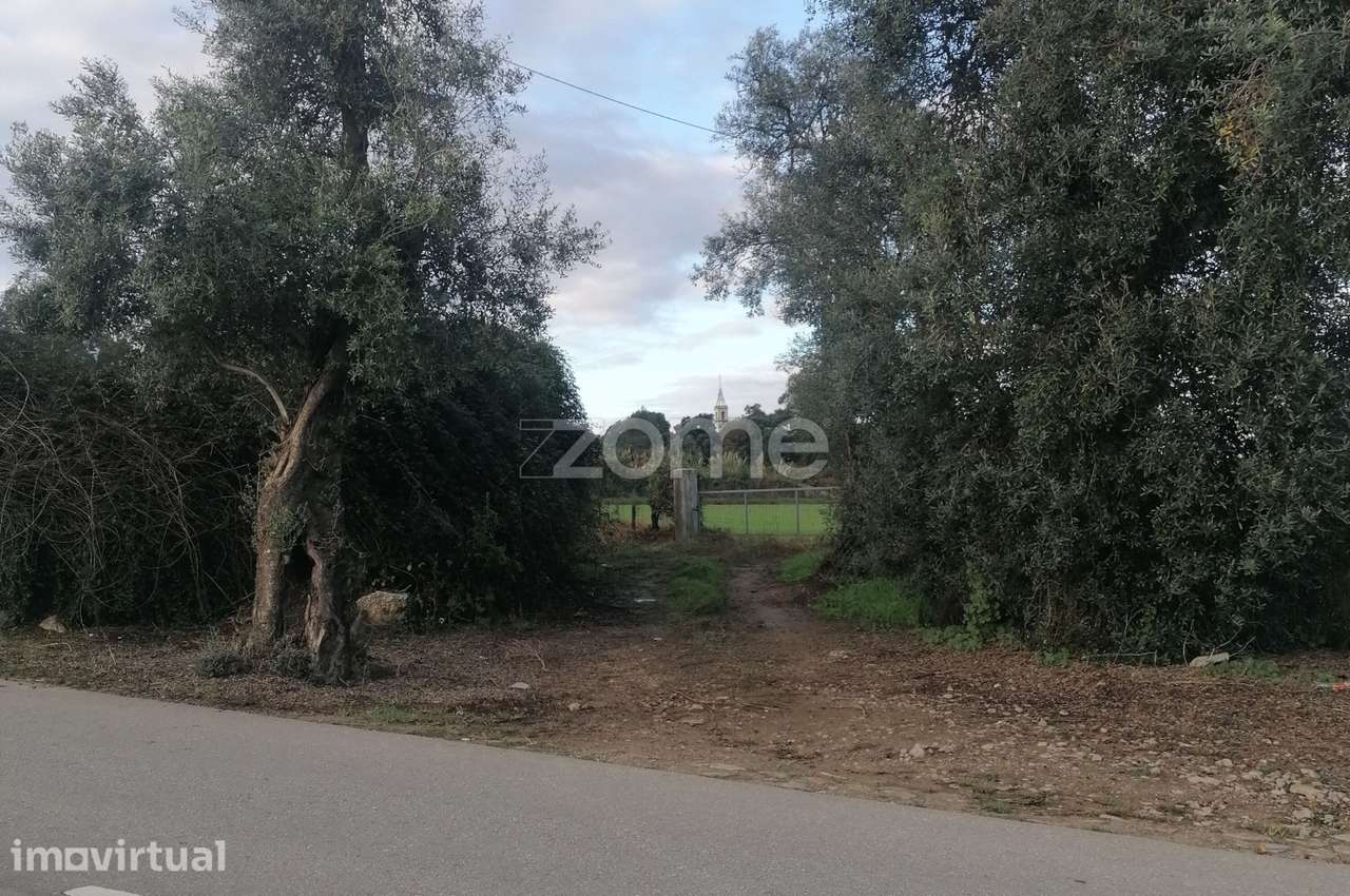 Terreno agrícola com 6.650 M2 em Minhotães-Barcelos - Grande imagem: 5/14
