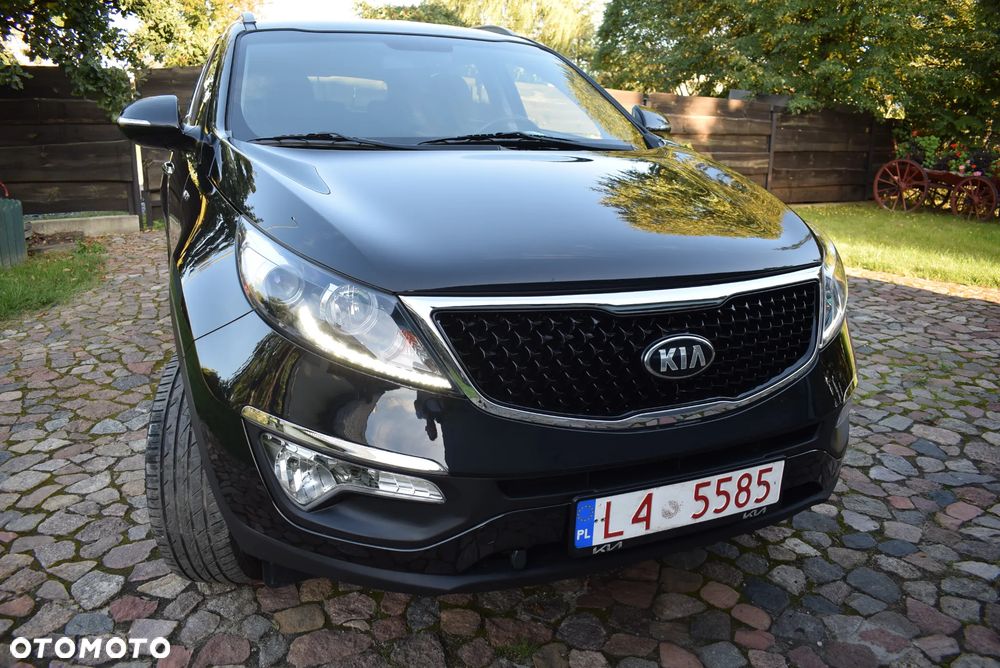 Kia Sportage - 22