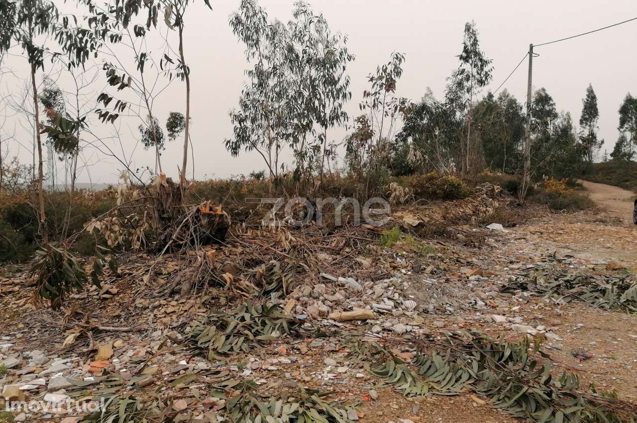 Terreno com 26.000 M2 em Ribeirão Vila nova de Famalicão - Grande imagem: 5/16