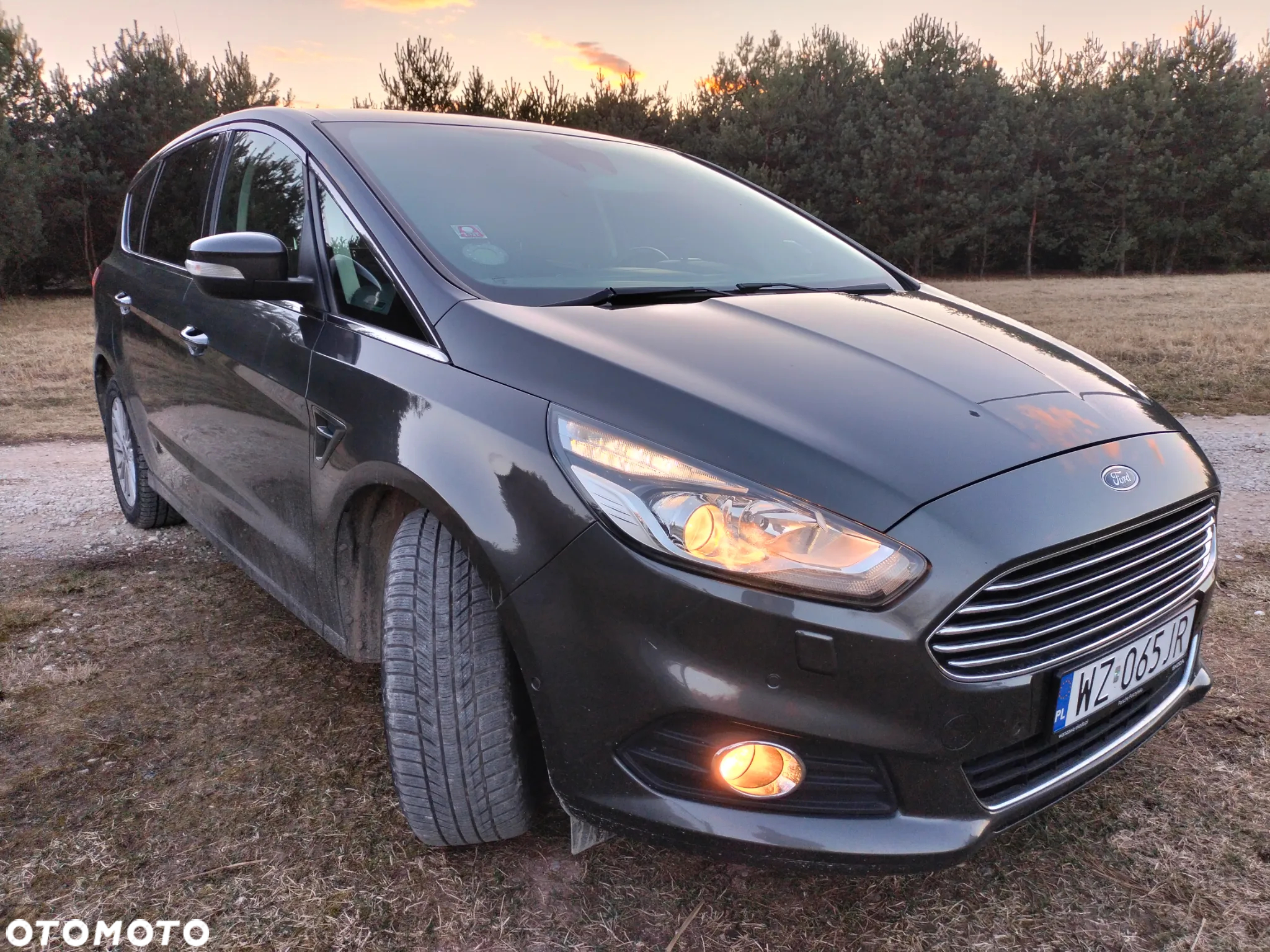 Ford S-Max 2.0 EcoBoost Titanium - 2