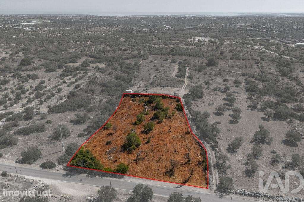 Terreno em Conceição e Estoi de 5480,00 m2 - Grande imagem: 2/30