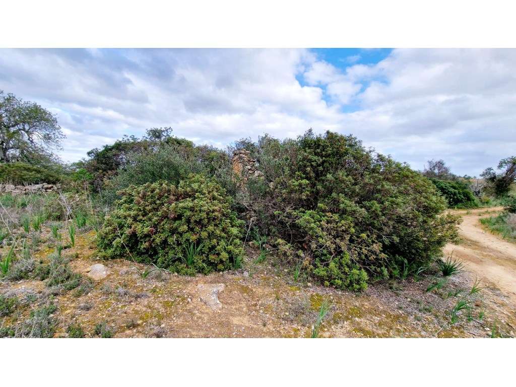 Terreno com Ruína - Grande imagem: 3/19