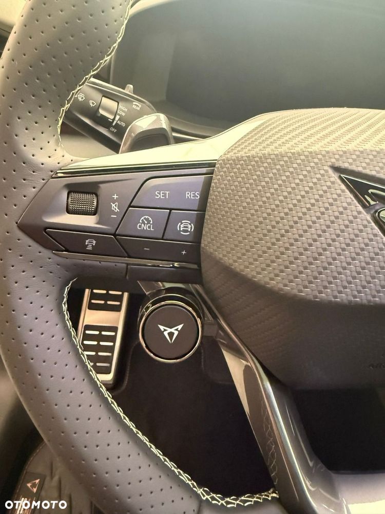 Cupra Terramar - 19