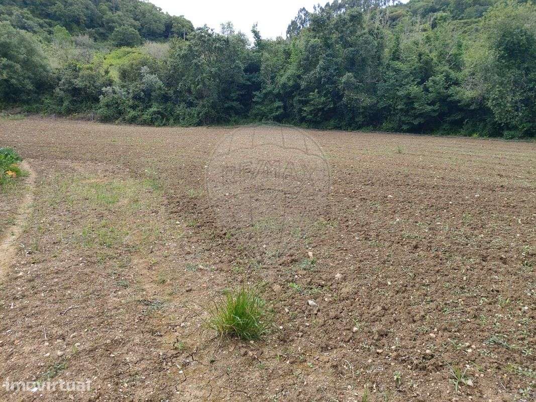 Terreno  para venda - Grande imagem: 4/16