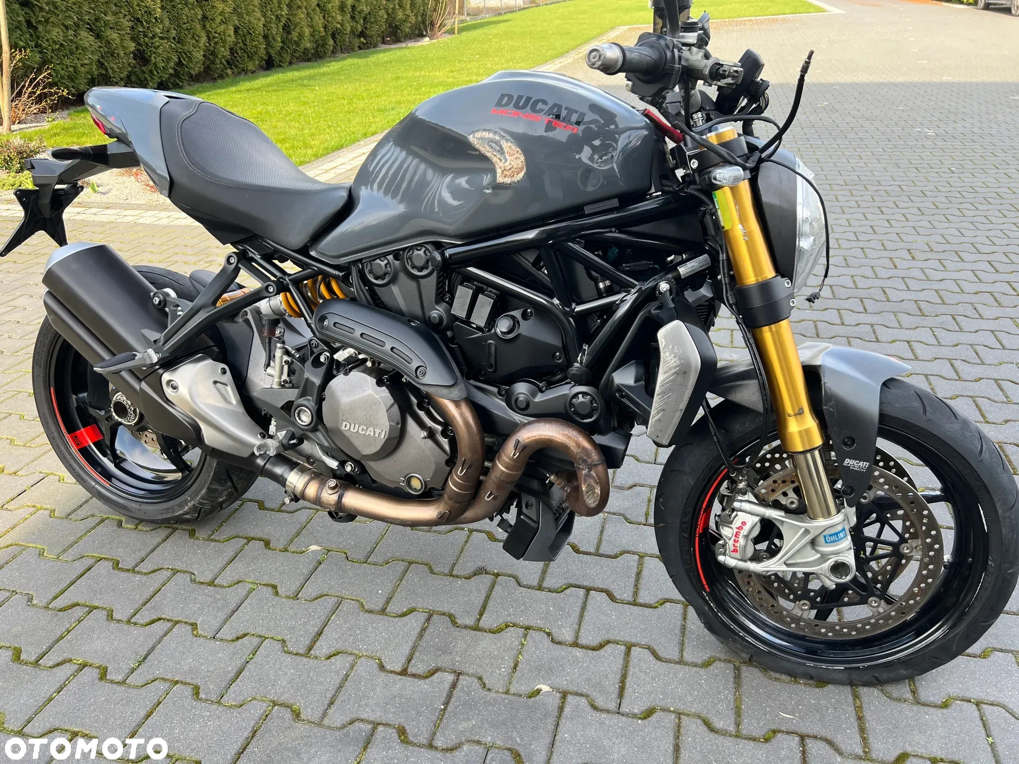 Ducati Monster - 8