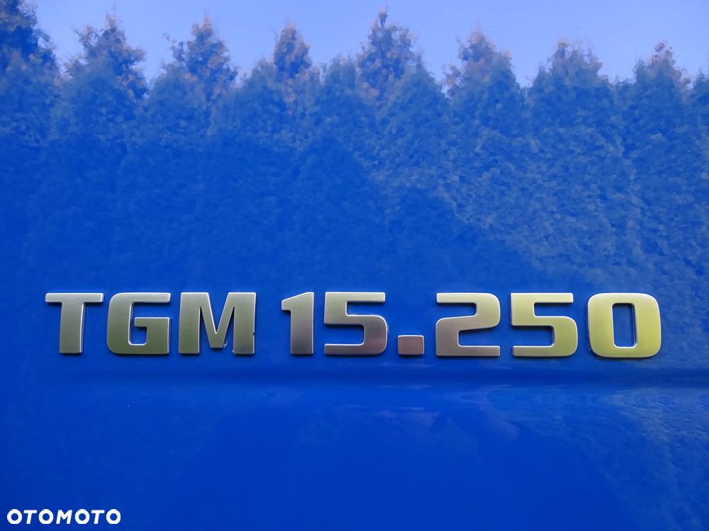 MAN TGM 15.250 18.250 / EURO 6 / BURTO-FIRANKA / Z NIEMIEC / SUPER STAN / - 13