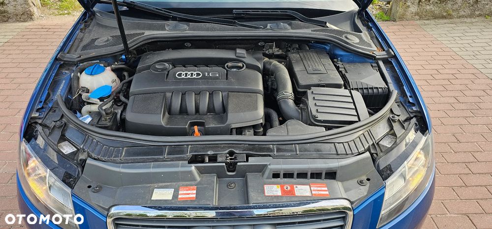 Audi A3 Sportback 1.6 Attraction - 28