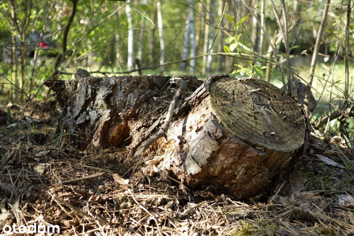 Nekielka cudowna miejscówka działka budowlana o pow. 1759 m2 - Pełny obrazek: 2/13