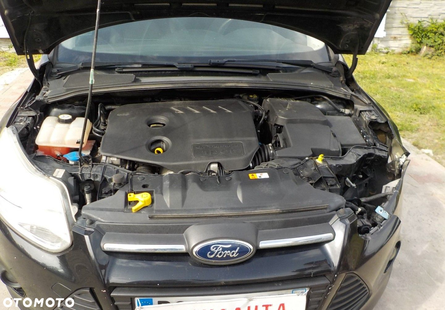 Ford Focus - 3