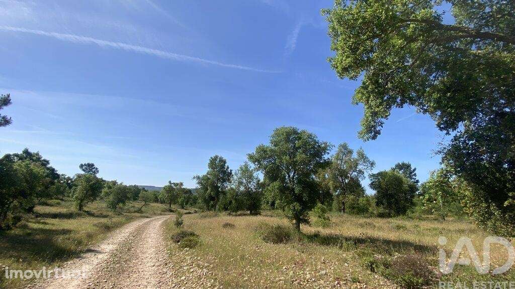 Terreno T2 em São Facundo e Vale das Mós de 568000,00 m2 - Grande imagem: 5/6