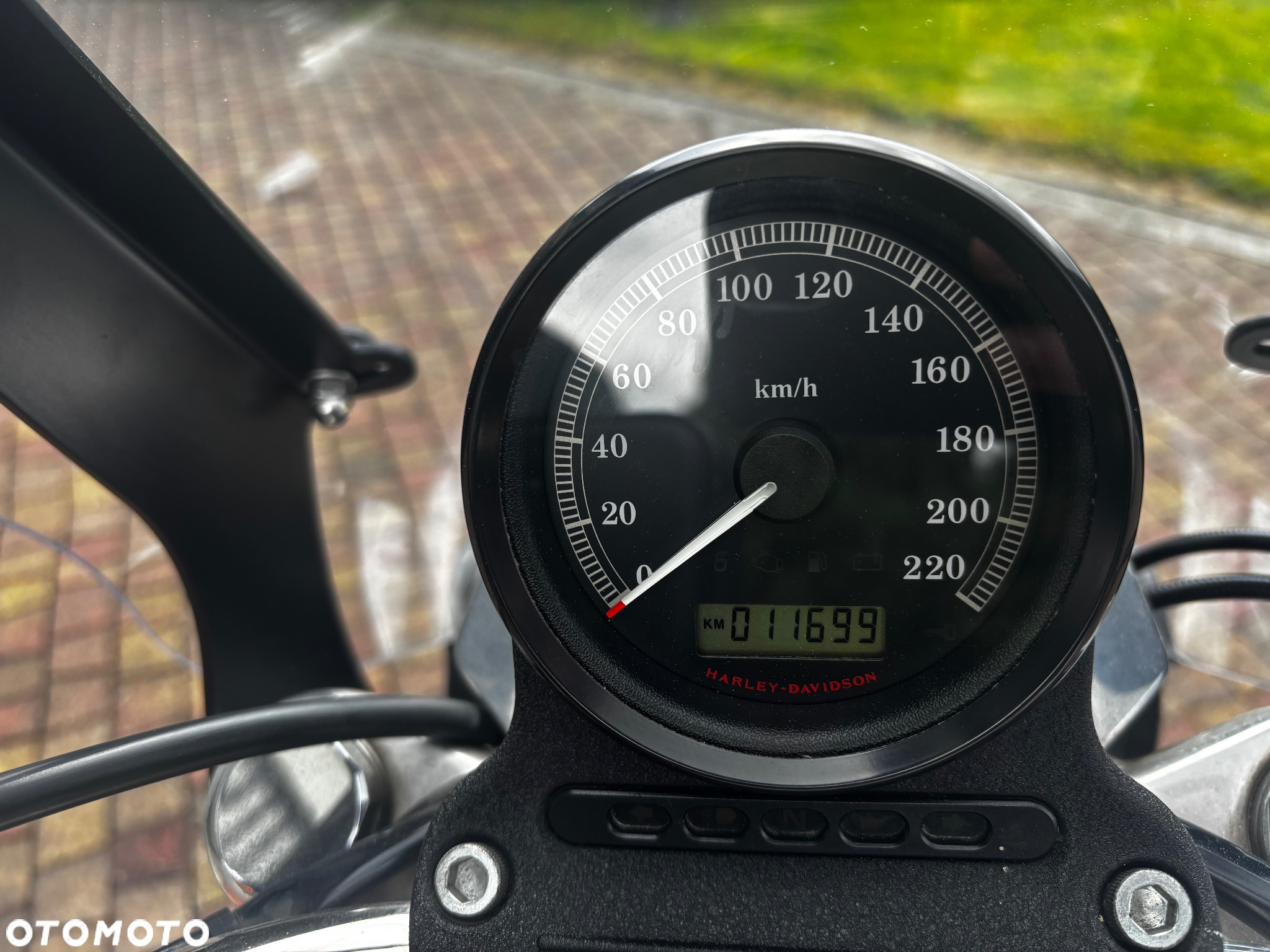 Harley-Davidson Sportster Low 883L - 2