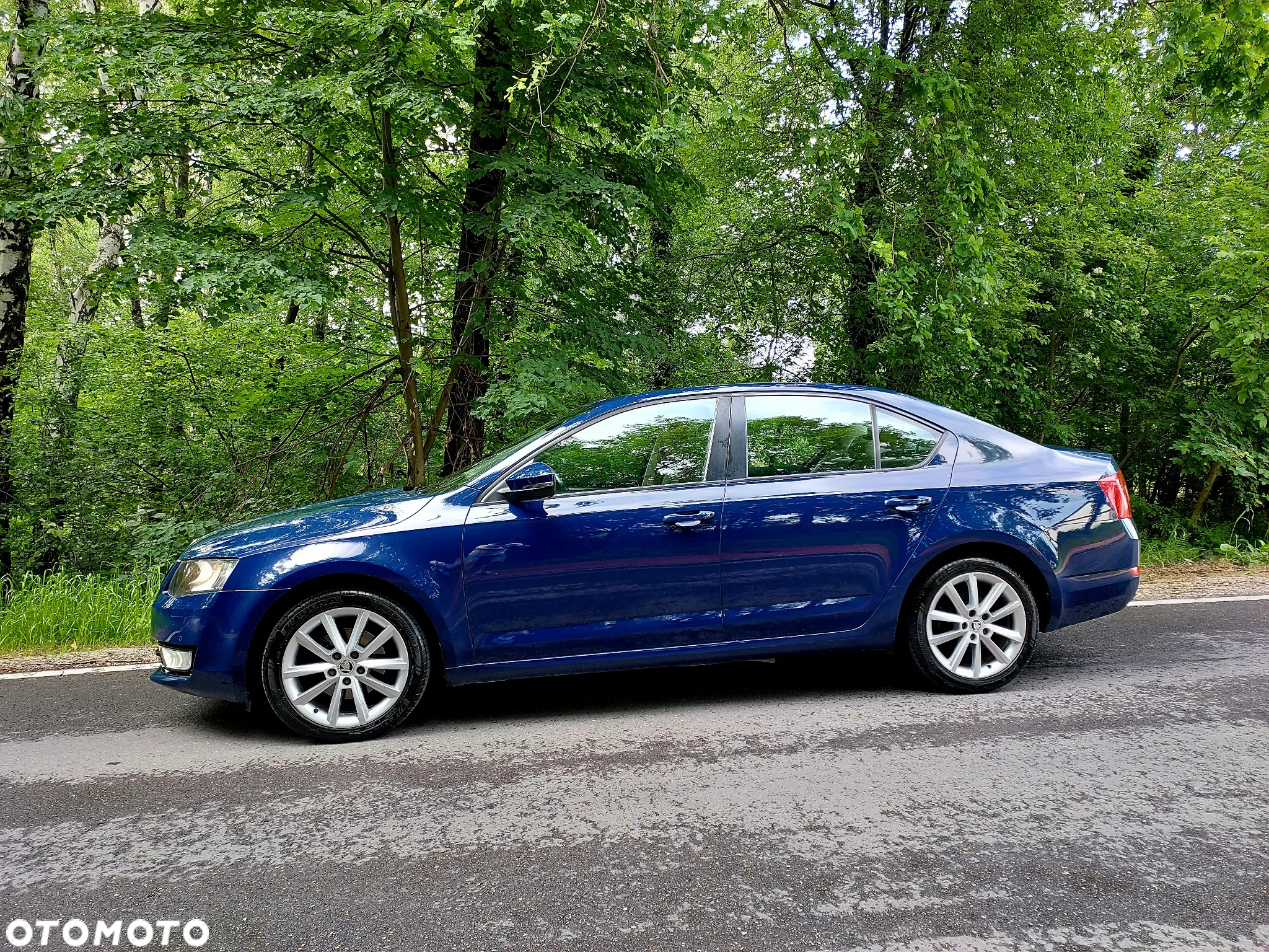 Skoda Octavia 2.0 TDI 4x4 Elegance - 4