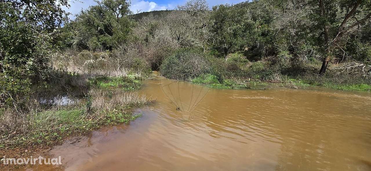 Terreno  para venda - Grande imagem: 5/38