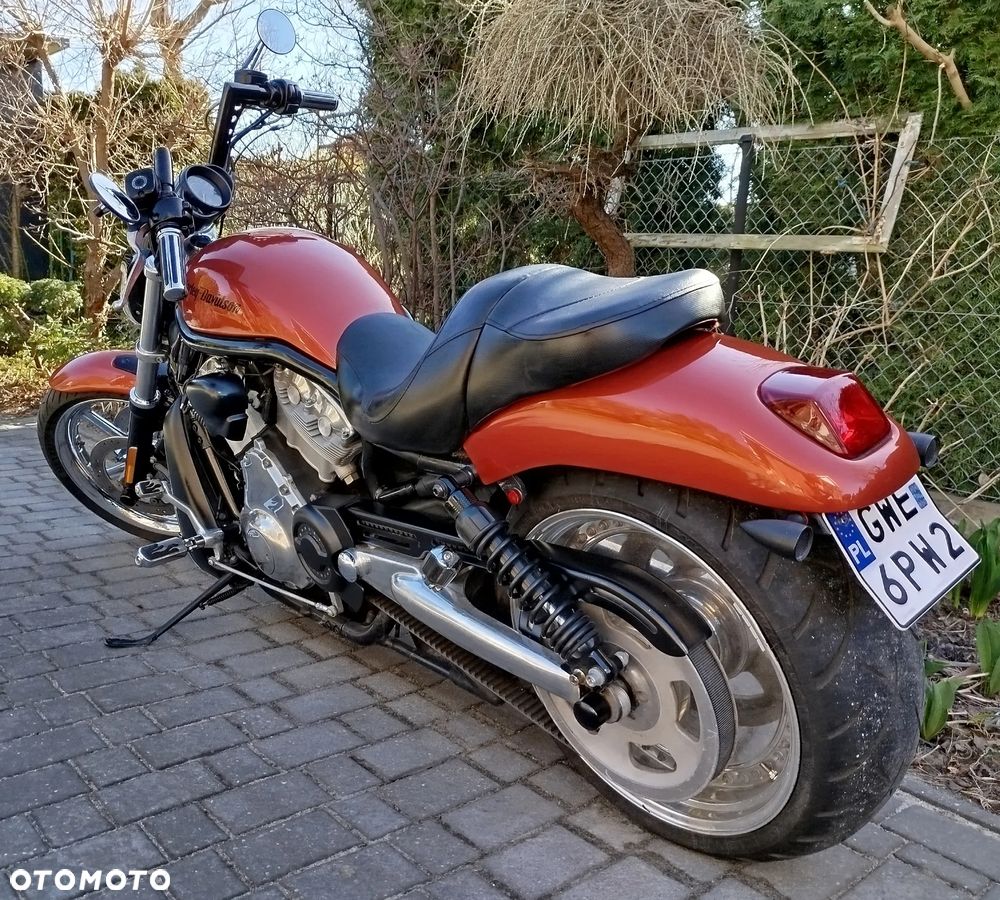 Harley-Davidson Softail V-Rod - 5