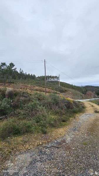 Terreno em Mação - Grande imagem: 2/11