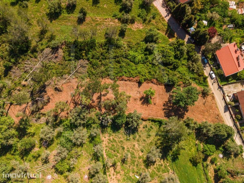 Terreno com Projeto aprovado | Assafarge - Grande imagem: 5/17