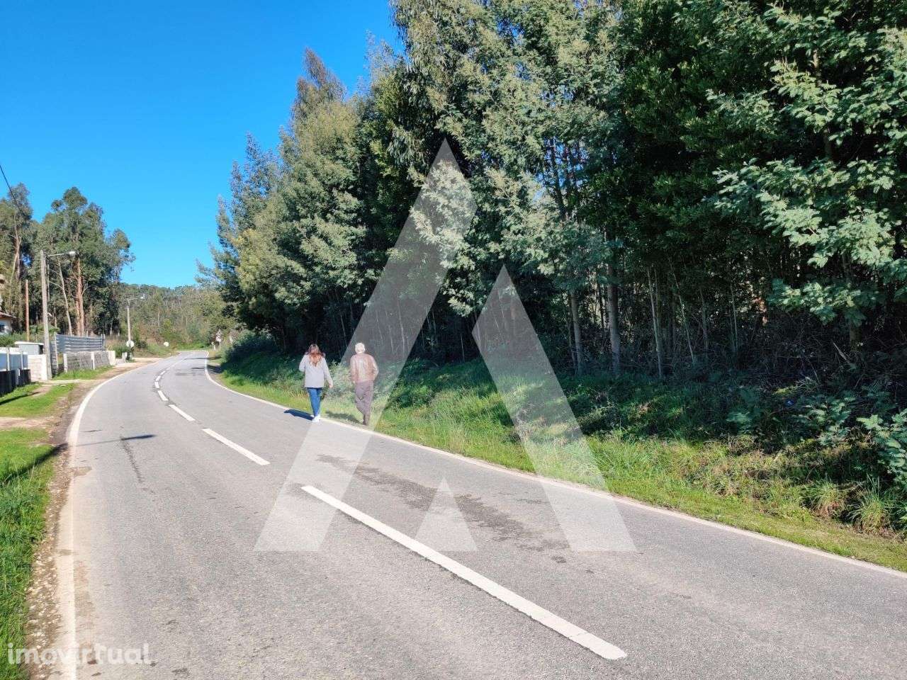 Terreno situado na zona de Alquerubim, Albergaria-a-Velha - Grande imagem: 4/10