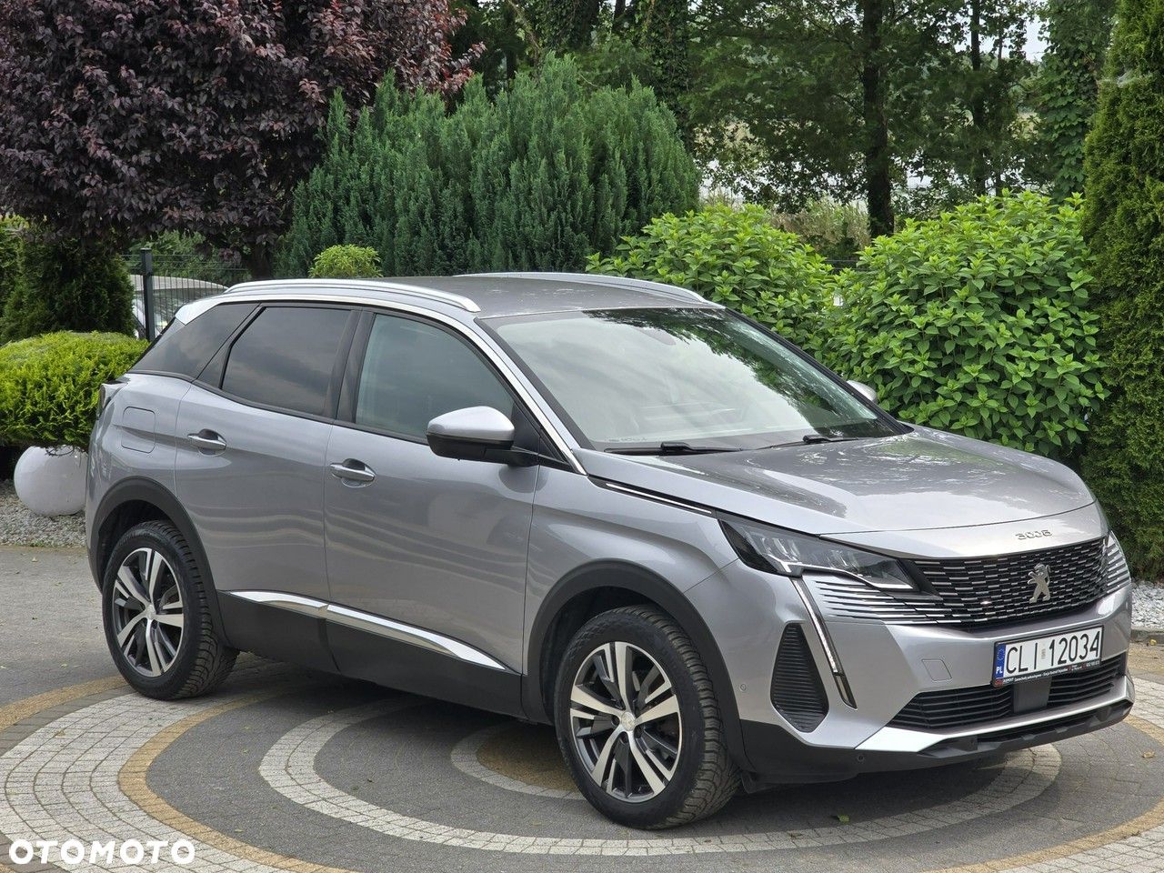 Peugeot 3008 - 1
