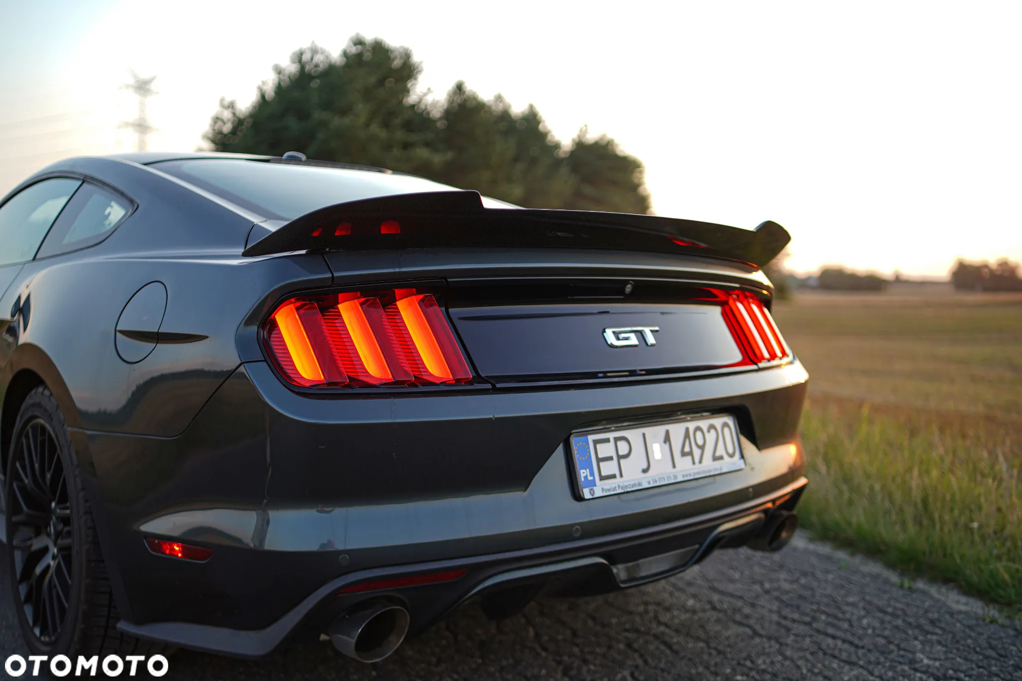 Ford Mustang 5.0 V8 GT - 17