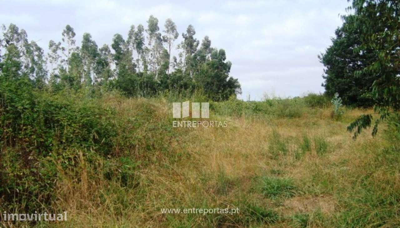 Terreno - Barroselas - Grande imagem: 4/7