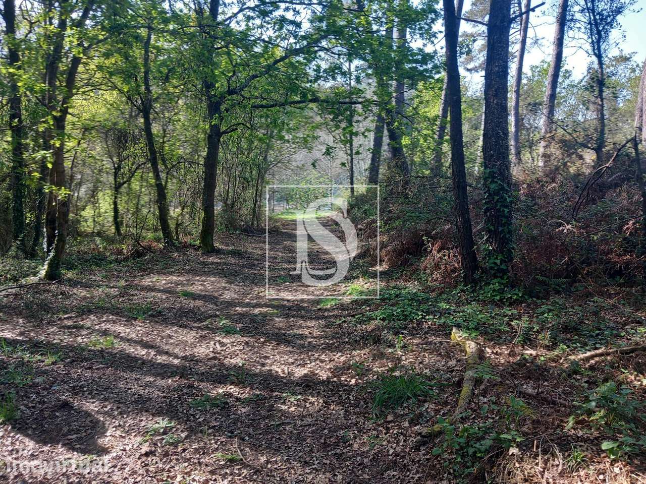 Terreno  Venda em Antas,Esposende - Grande imagem: 3/9