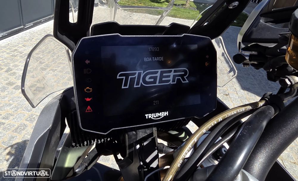 Triumph Tiger Rally Pro - 7