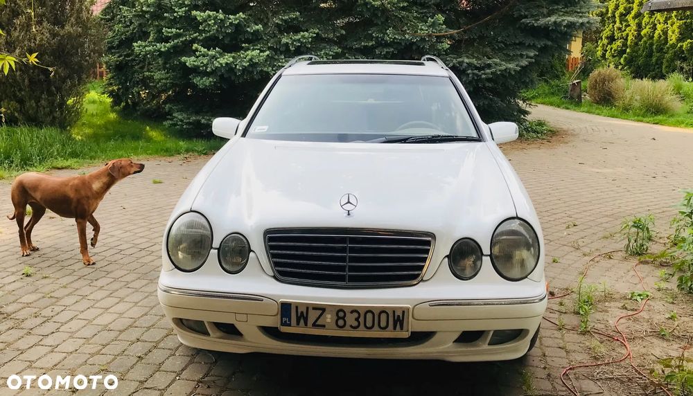 Mercedes-Benz Klasa E 320 T 4-Matic Avantgarde - 30