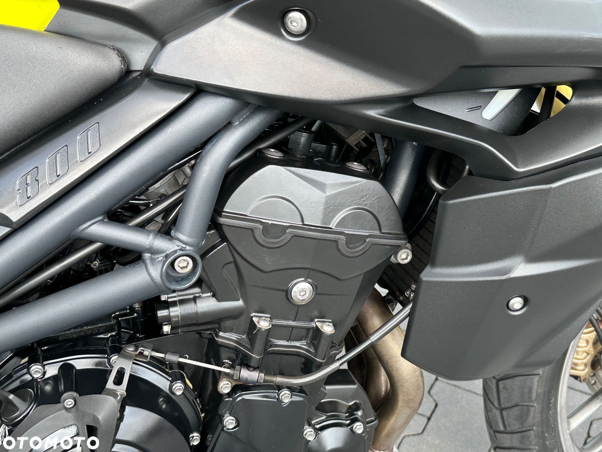 Triumph Tiger - 16