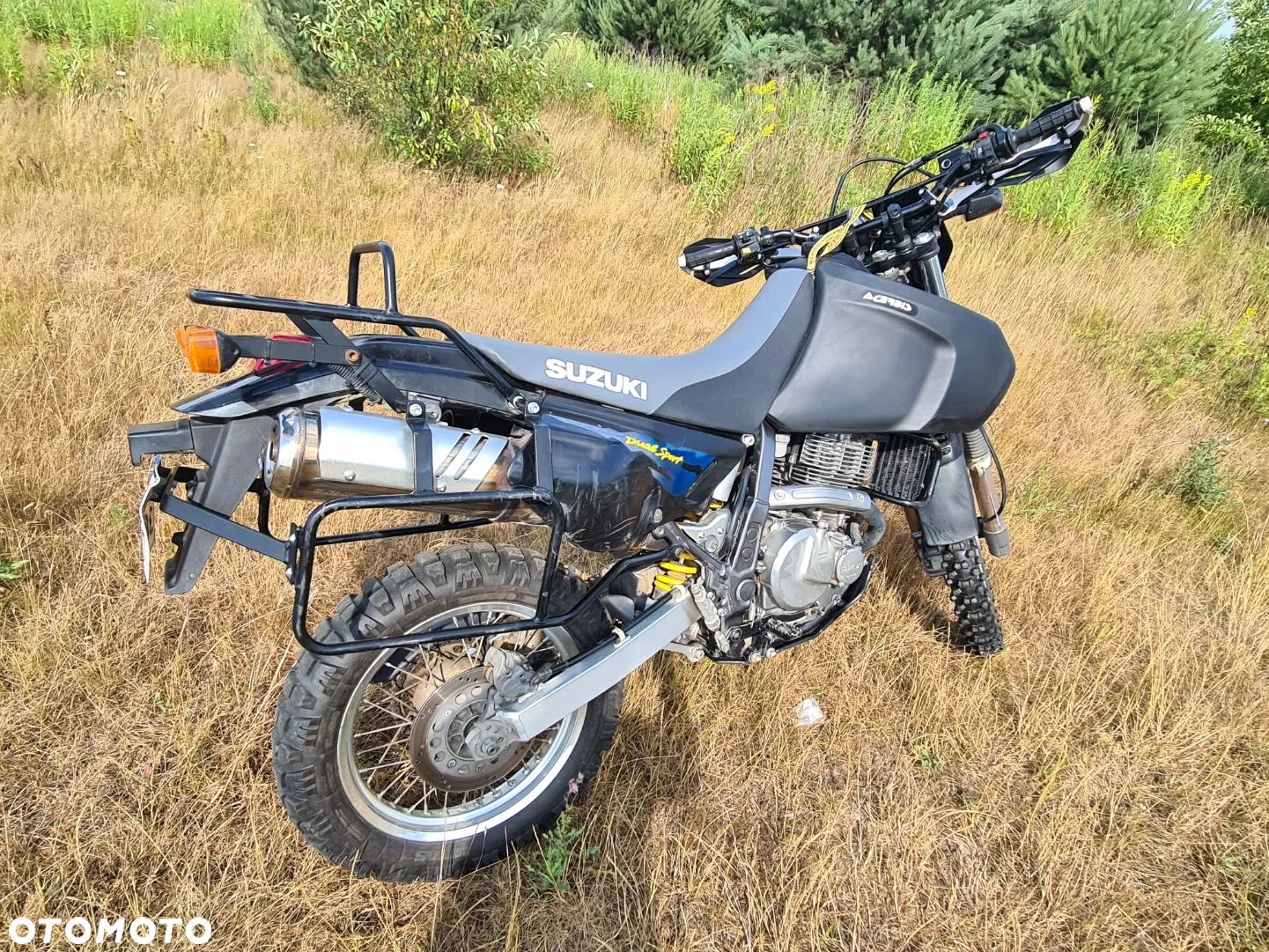 Suzuki DR