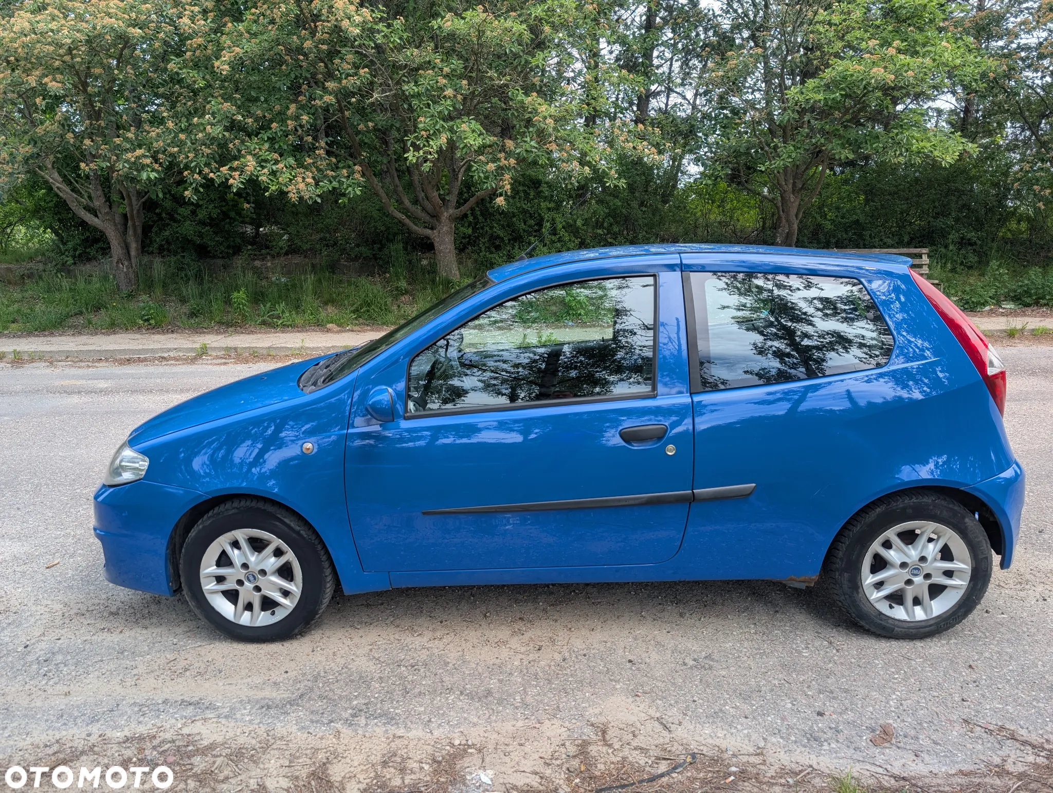 Fiat Punto 1.3 Multijet - 4