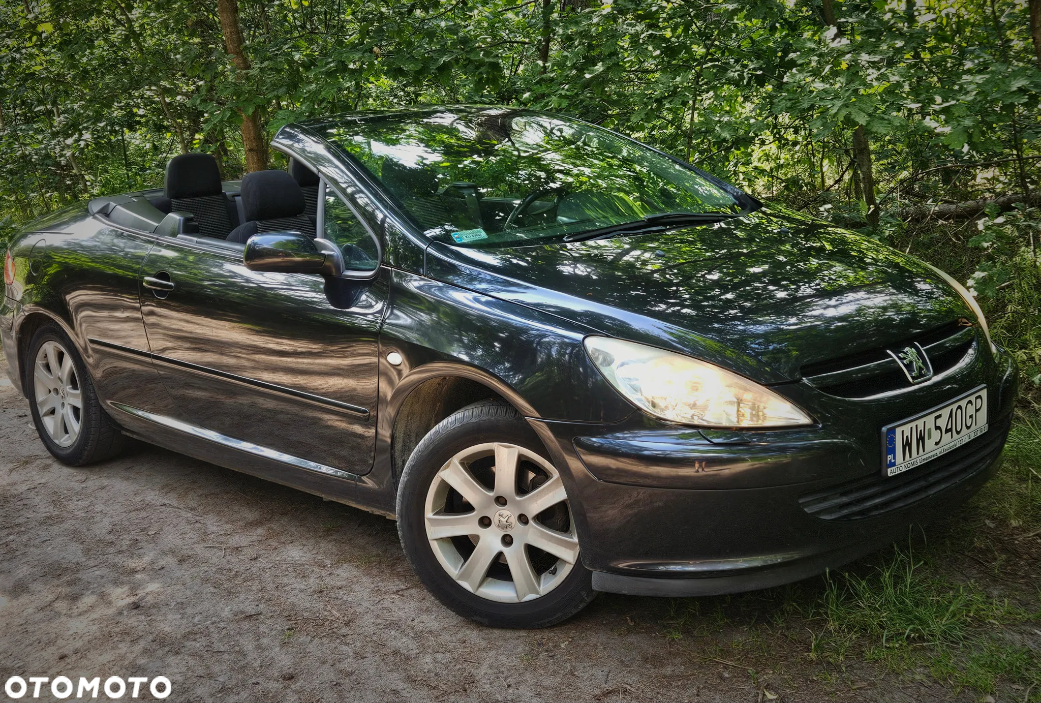 Peugeot 307 CC - 14