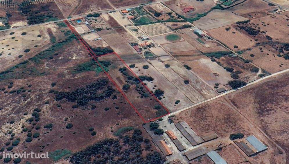 Terreno misto de 10.000m2 em Benavente (Herdade do Almada) - Grande imagem: 5/8