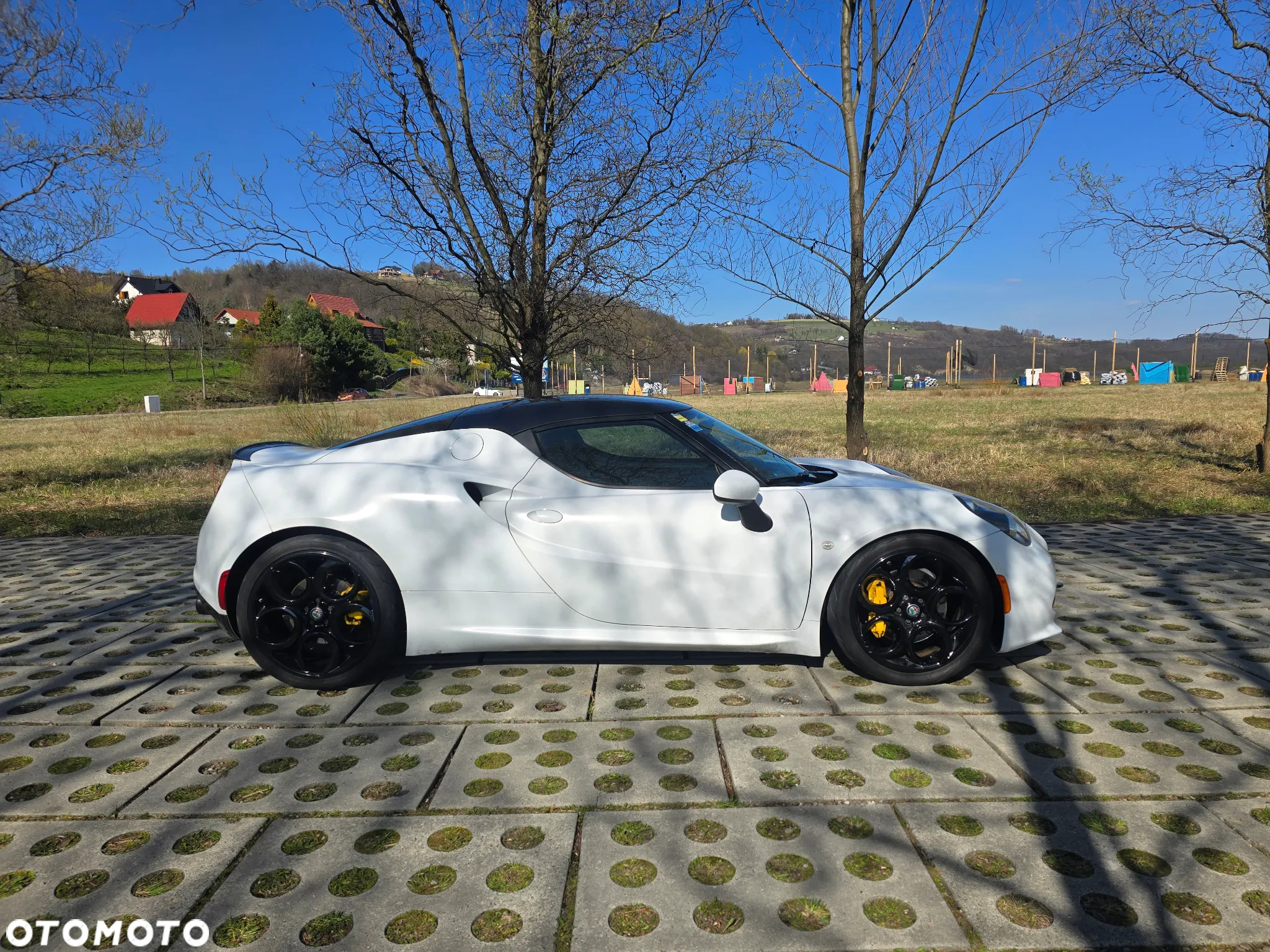 Alfa Romeo 4C 1750 TBi TCT - 13