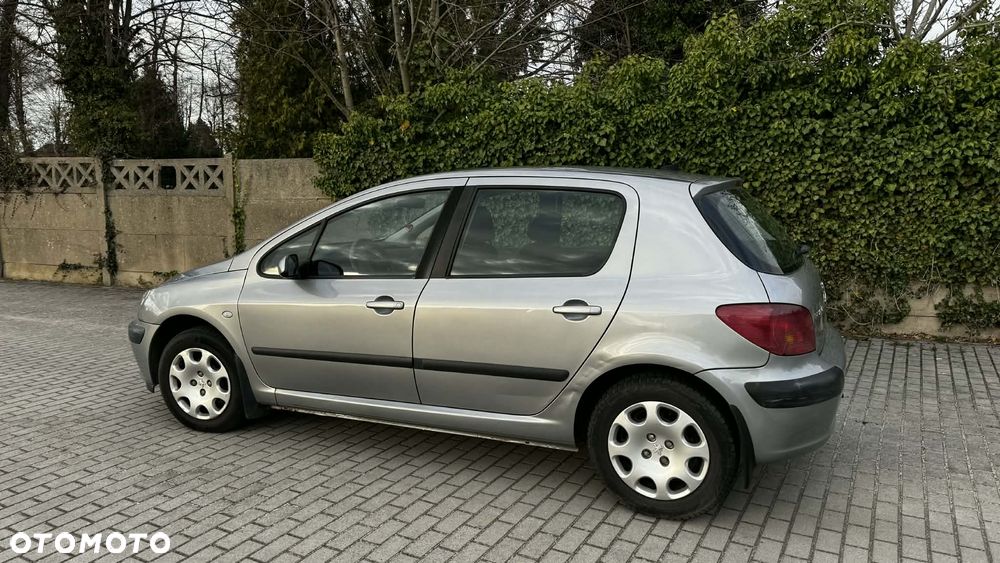 Peugeot 307 1.4 Mistral - 3
