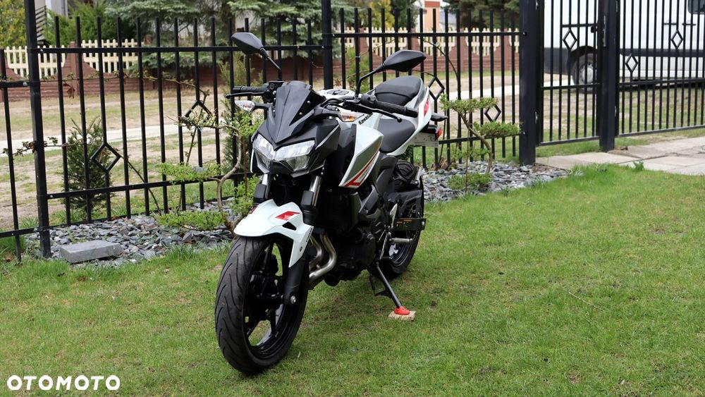 Kawasaki Z - 6