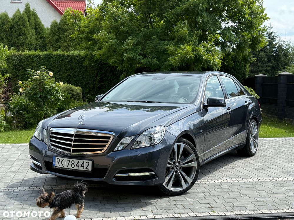 Mercedes-Benz Klasa E 220 CDI BlueEff Avantgarde - 10