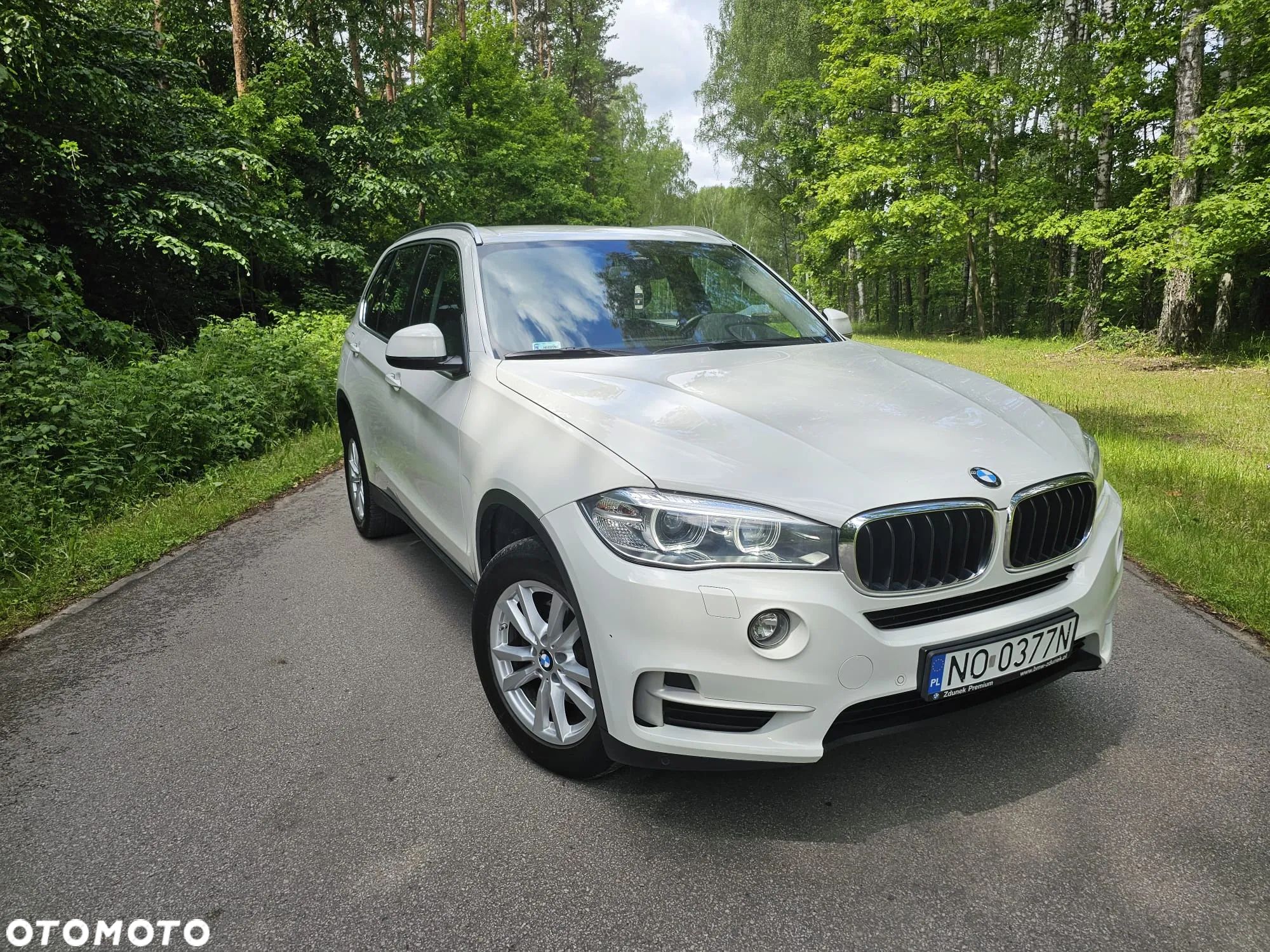 BMW X5 xDrive25d - 1