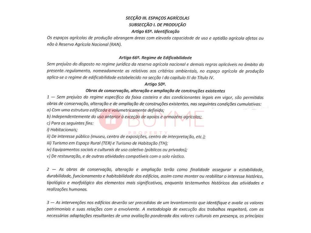 Terreno Amplo com Ruína em Santa Bárbara de Nexe - Grande imagem: 4/5