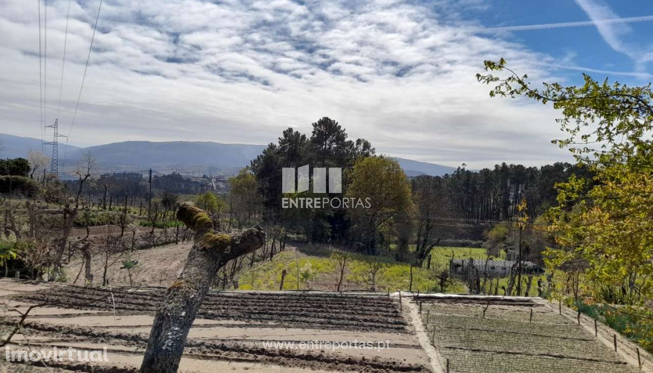 Venda Terreno, Fregim, Amarante - Grande imagem: 2/40